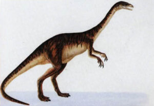 Анхизавр
