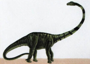 Барозавр