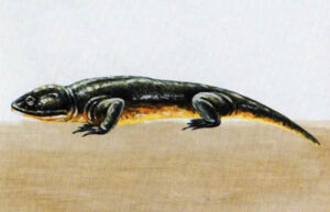 Бранхиозавр