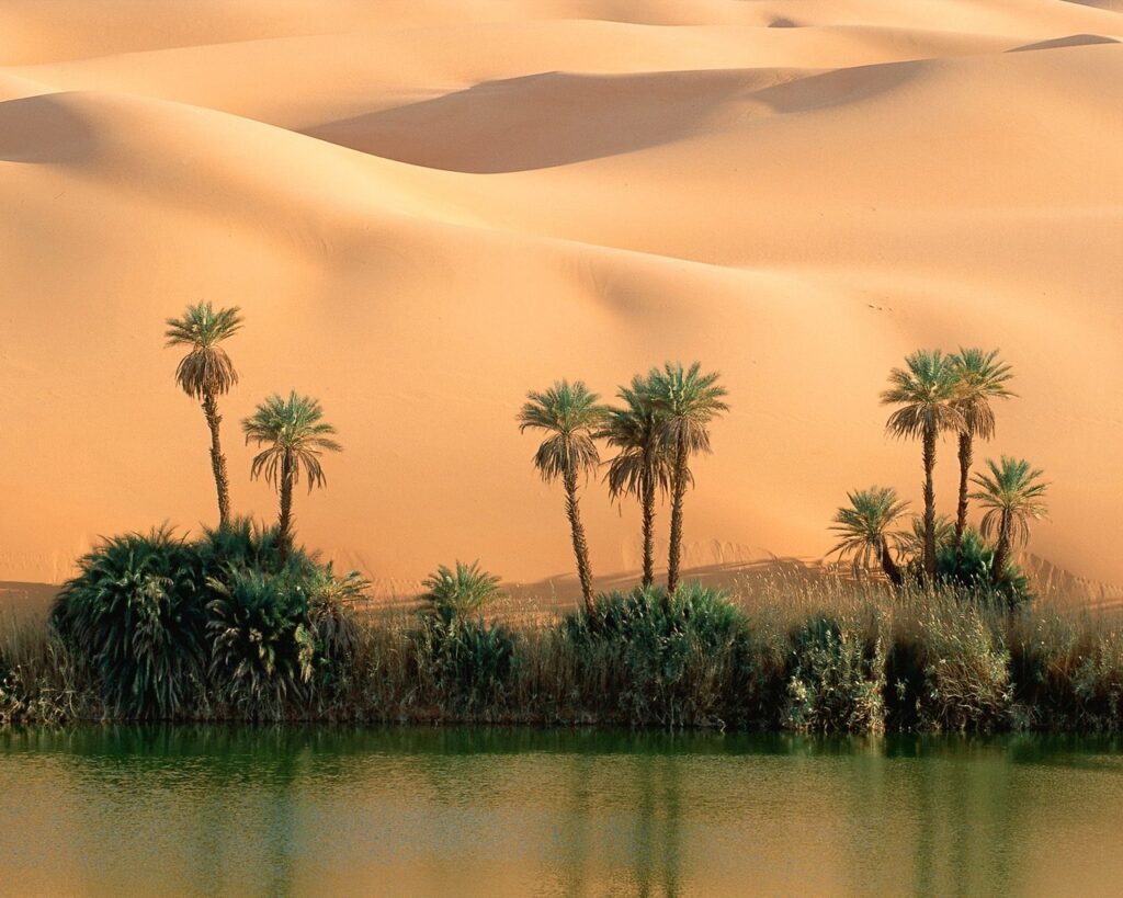 Оазисы пустыни –  Египет